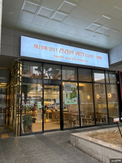 트로피티아일랜드대구 이미지