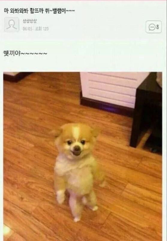 복 이미지