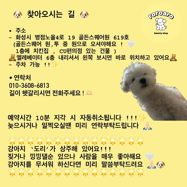 로로아로 이미지