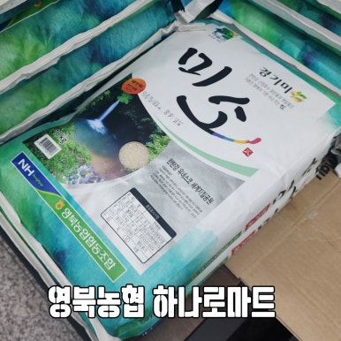 영북농협주유소 이미지