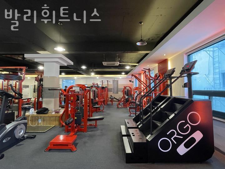 발리휘트니스 이미지