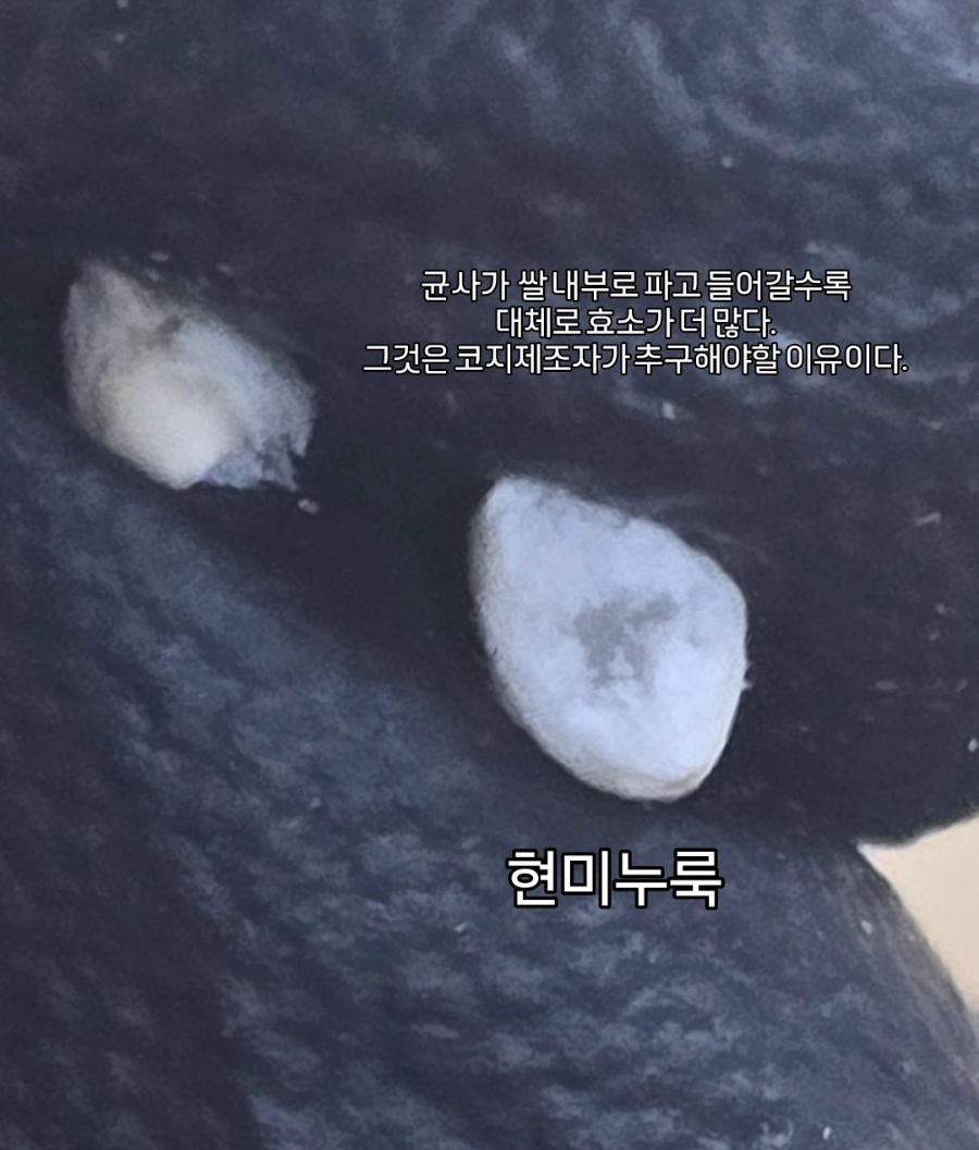쌀누룩연구소 이미지