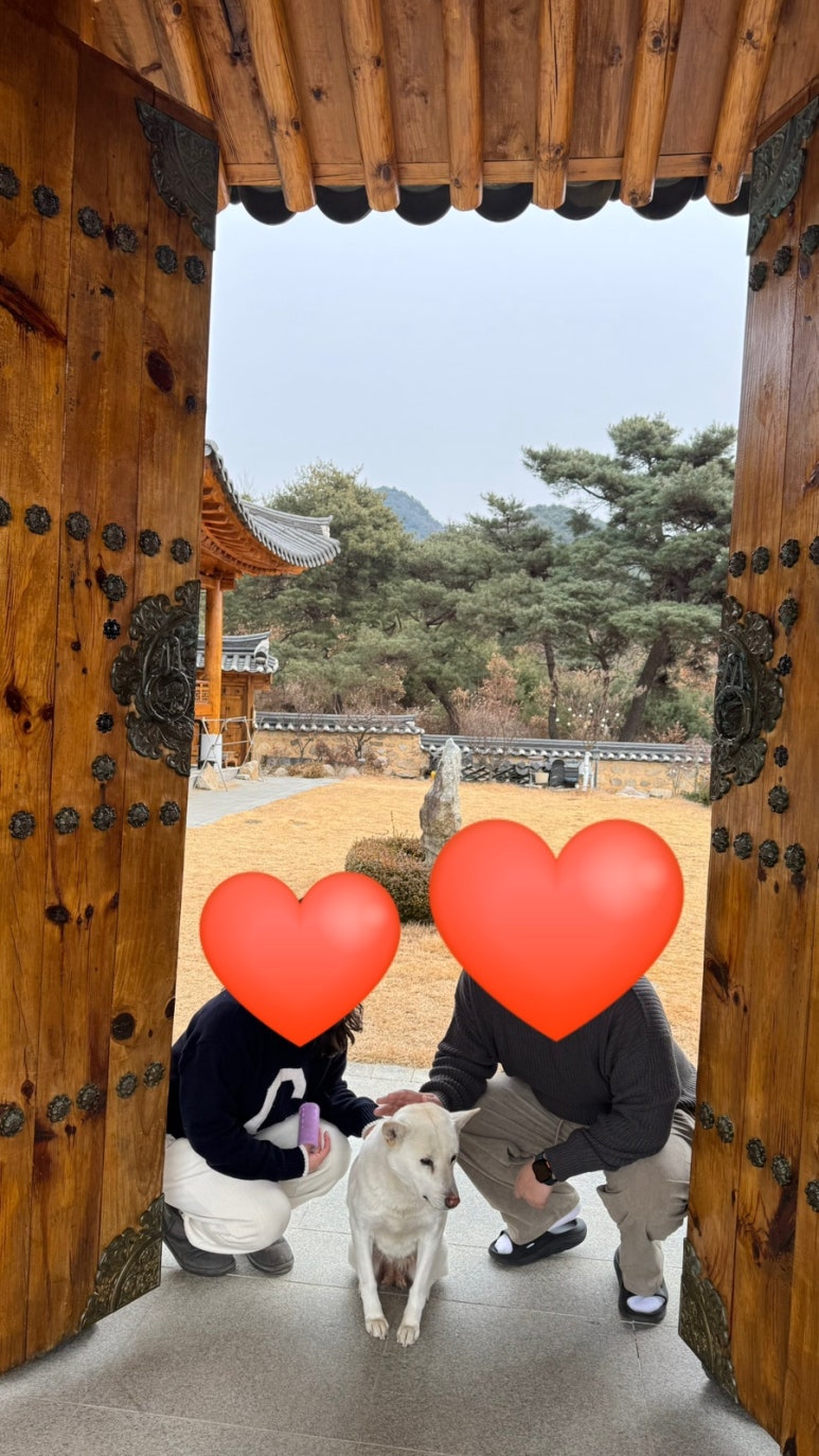 풍송재 이미지