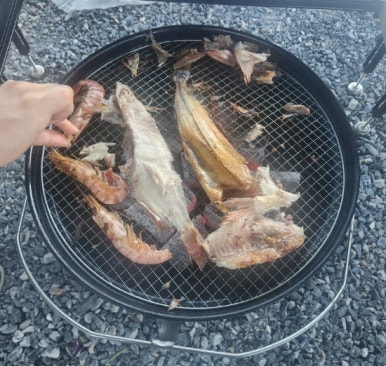 백룡야영장 이미지