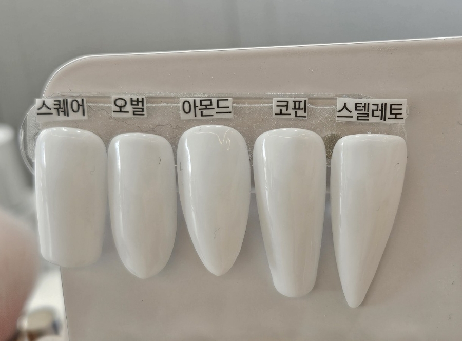 살롱드렌느 이미지