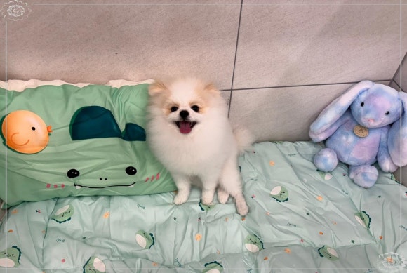 행복한부산맘 이미지