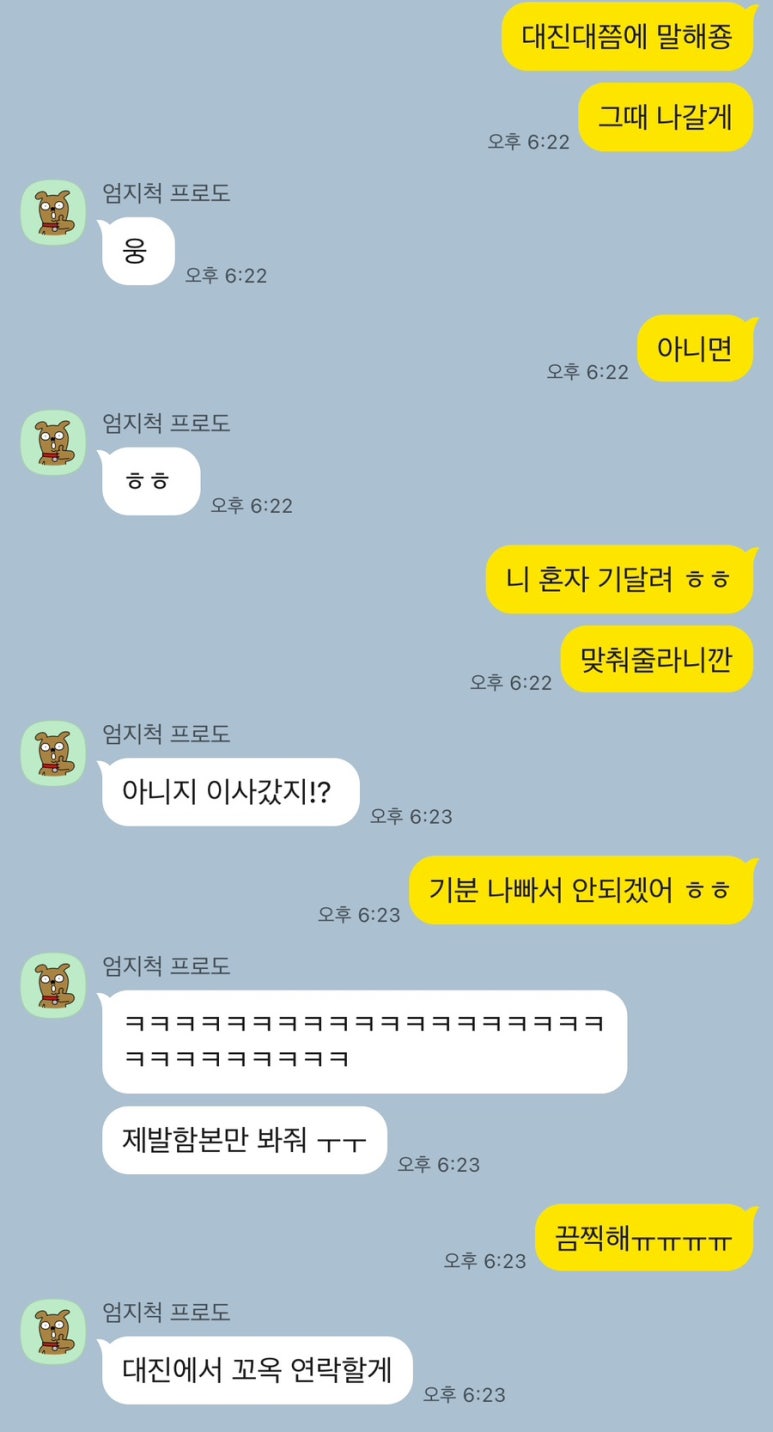 돼지나라갈매기꿈 이미지