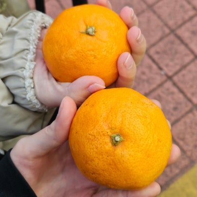 대패어때 이미지