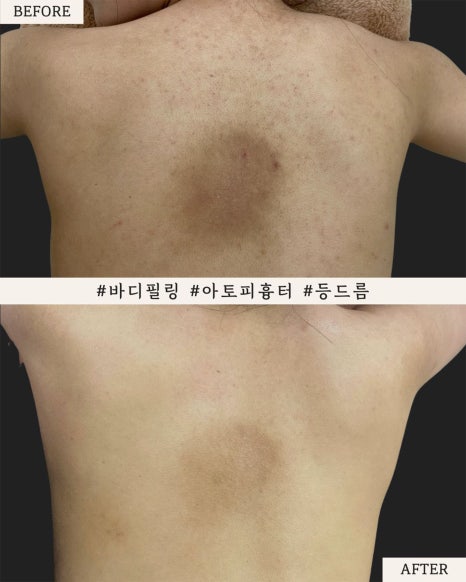 미의창조 이미지