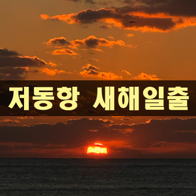 다온다투어 이미지