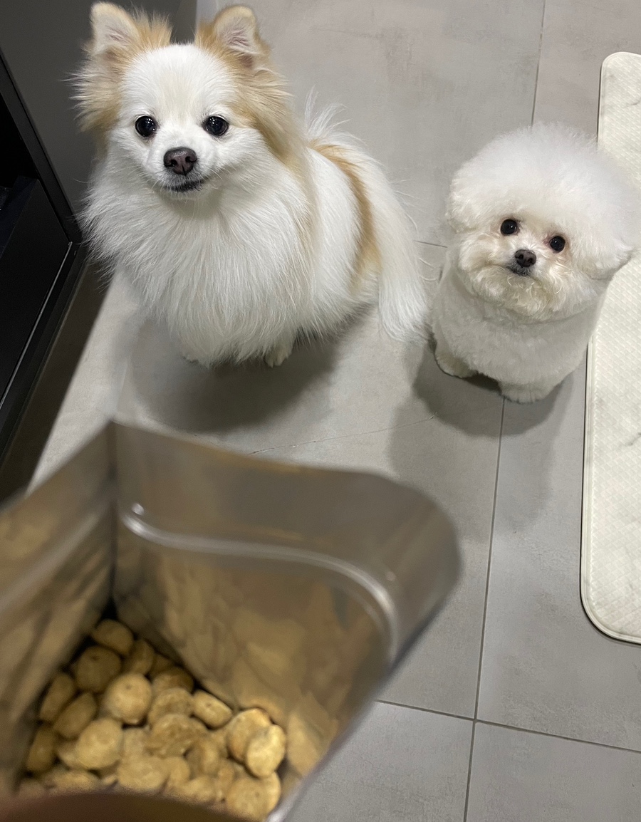 제일소분 이미지