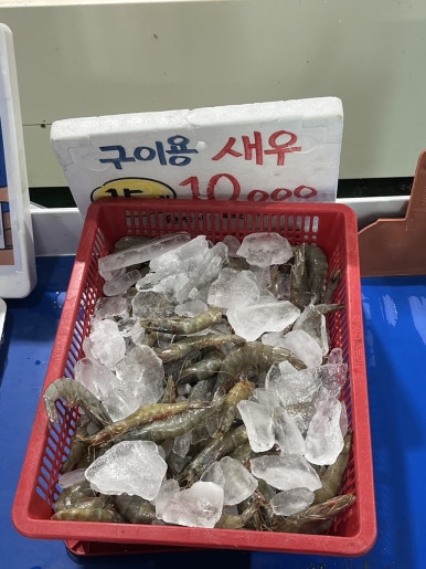 썬블루 이미지