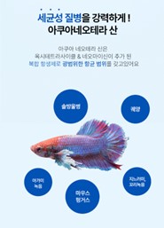 성요셉의원 이미지