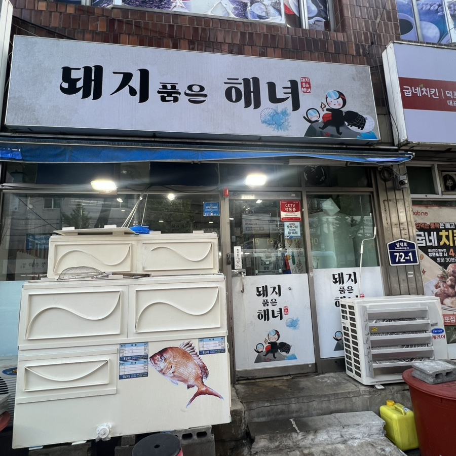 소를 품은 조개 이미지