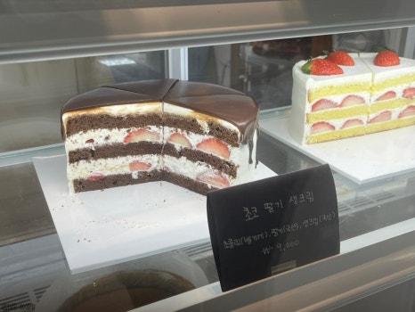 카페맬굼 이미지