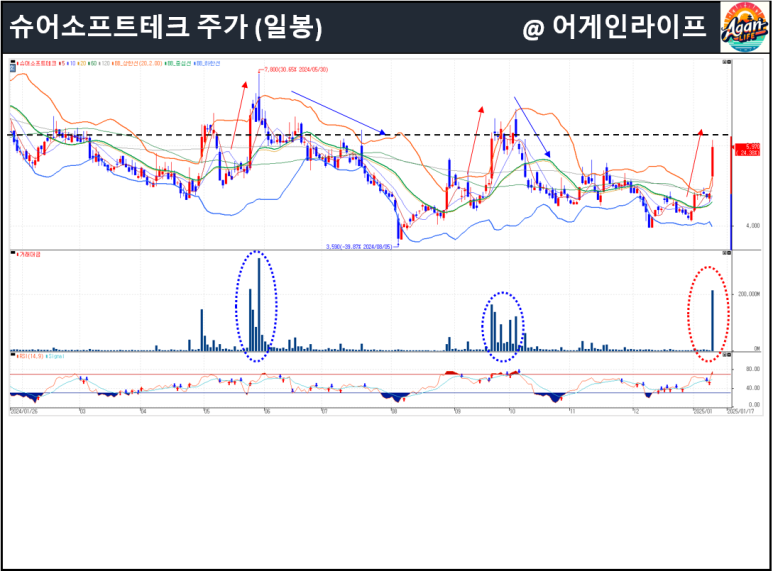 슈어소프트테크(주) 이미지