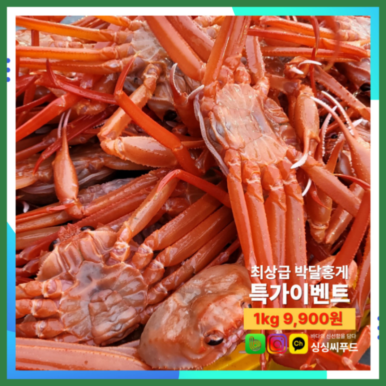 싱싱씨푸드 이미지