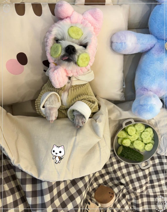 행복한부산맘 이미지