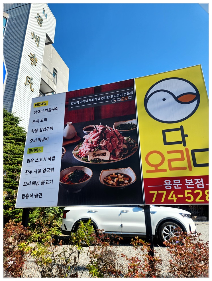 다오리 이미지
