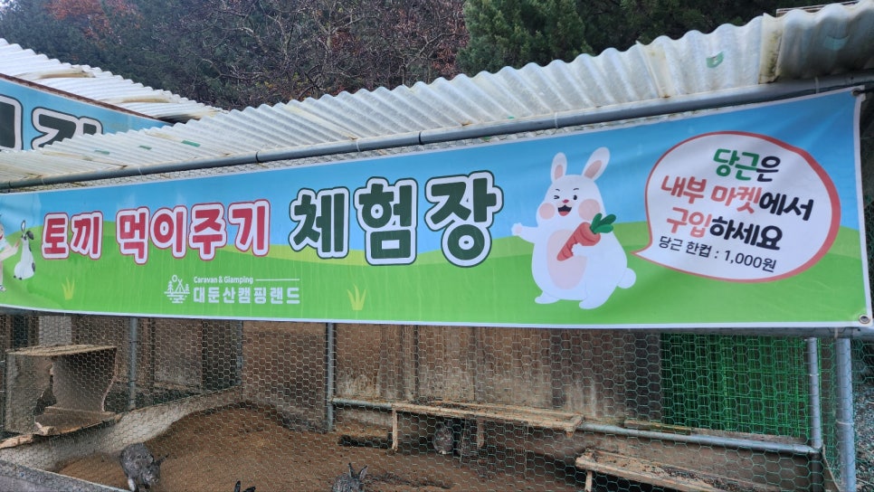 대둔산캠핑랜드 이미지