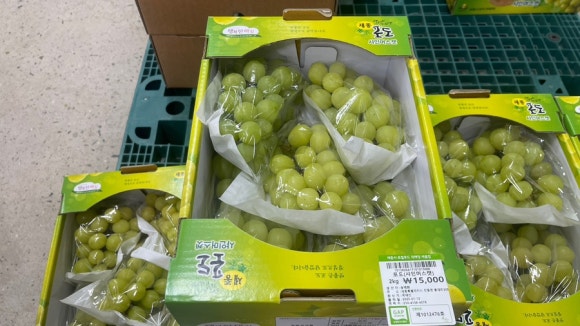 장터소비자마트 이미지