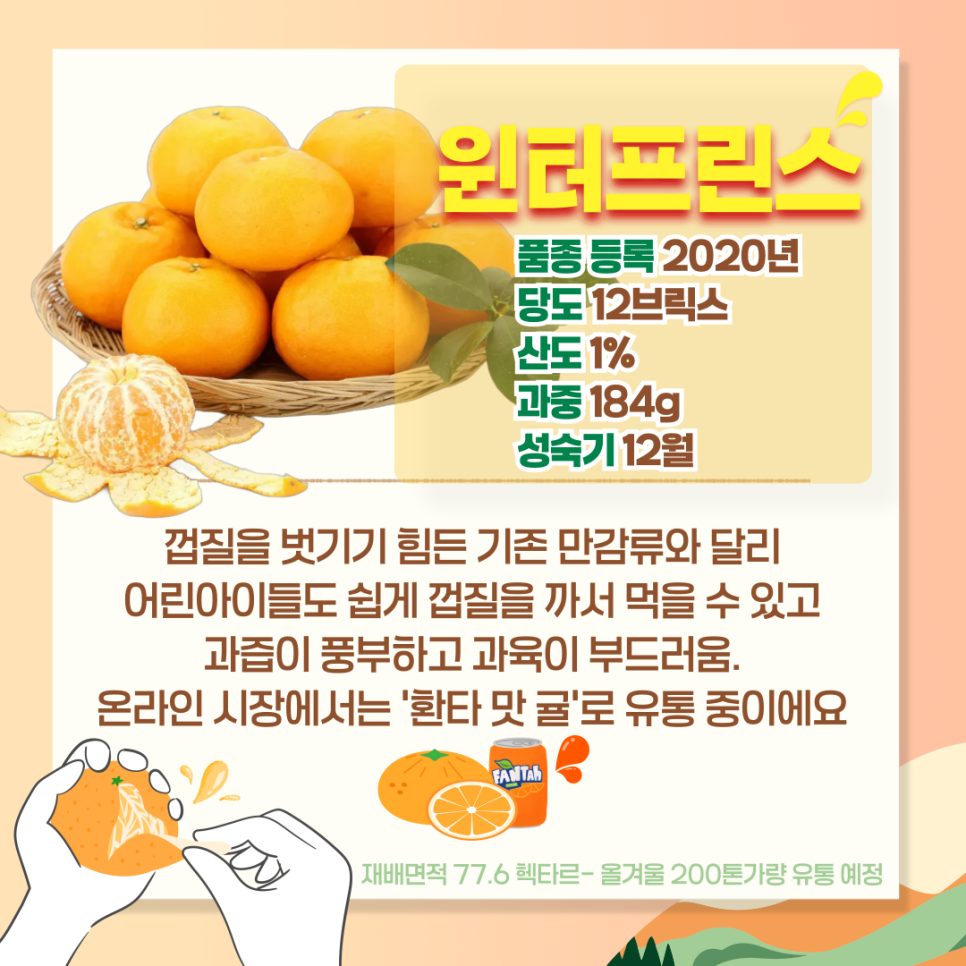 미래향 이미지