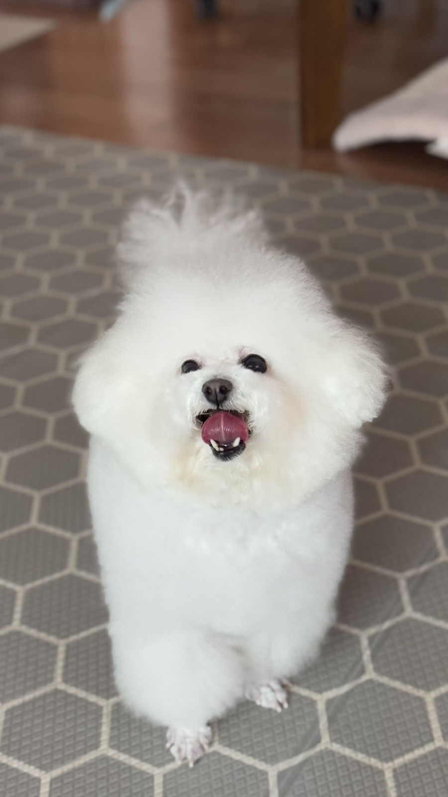 곰돌이카센터 이미지