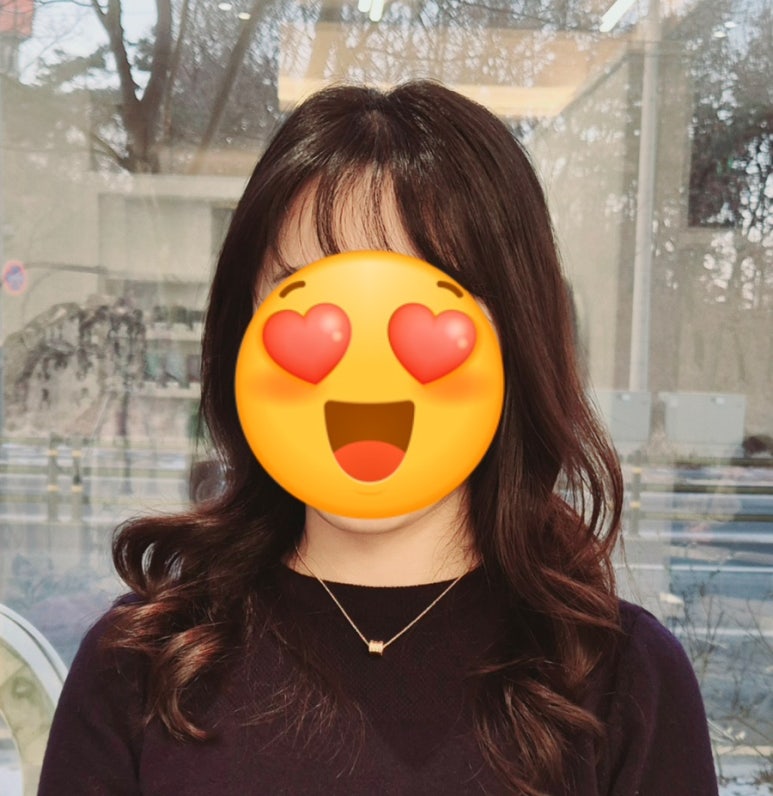 살롱브리앙 이미지