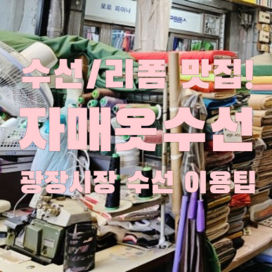 자매수선 이미지
