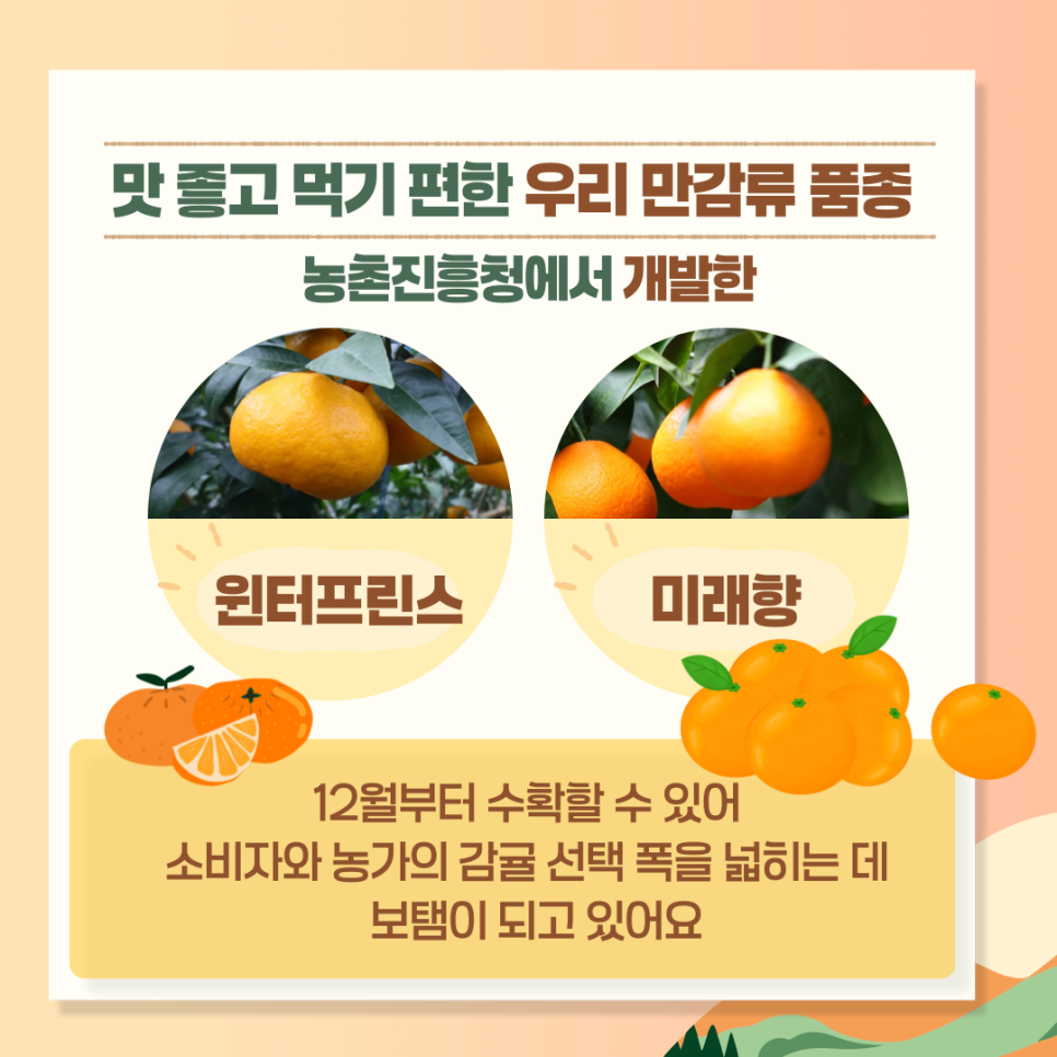 미래향 이미지