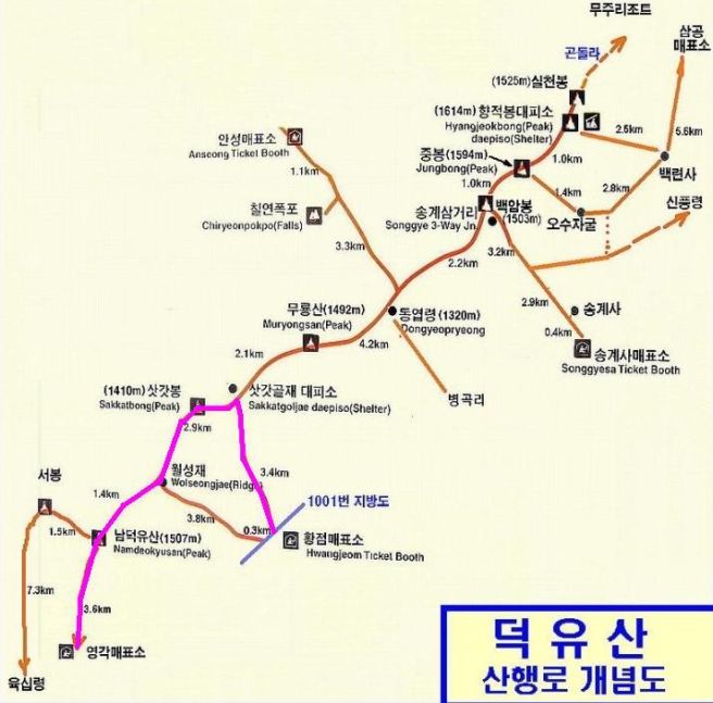 제이캠프 테마여행사 이미지