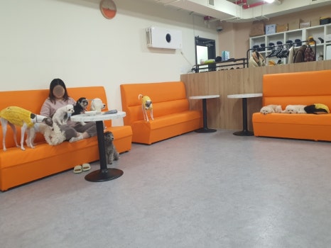 개랑 놀아주는 남자 이미지