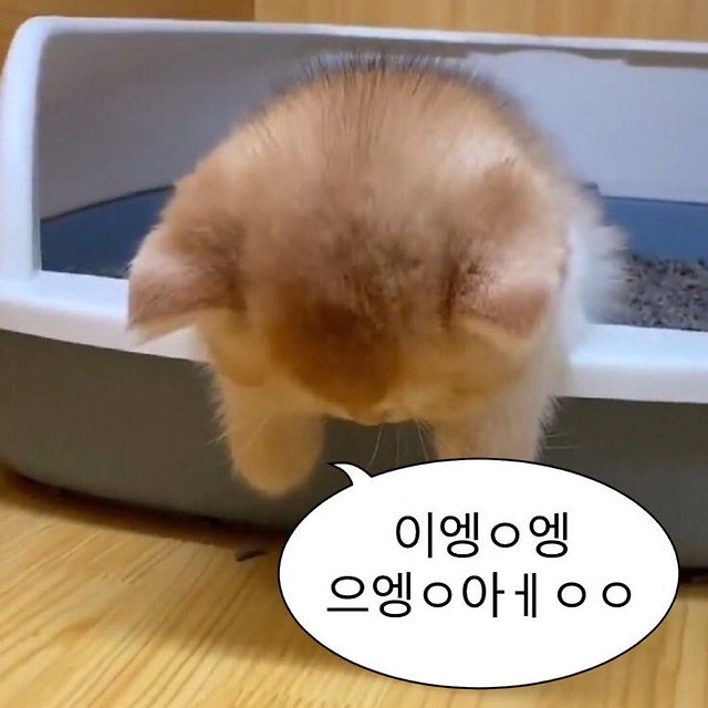 마스터키친 갤러리아광교 이미지