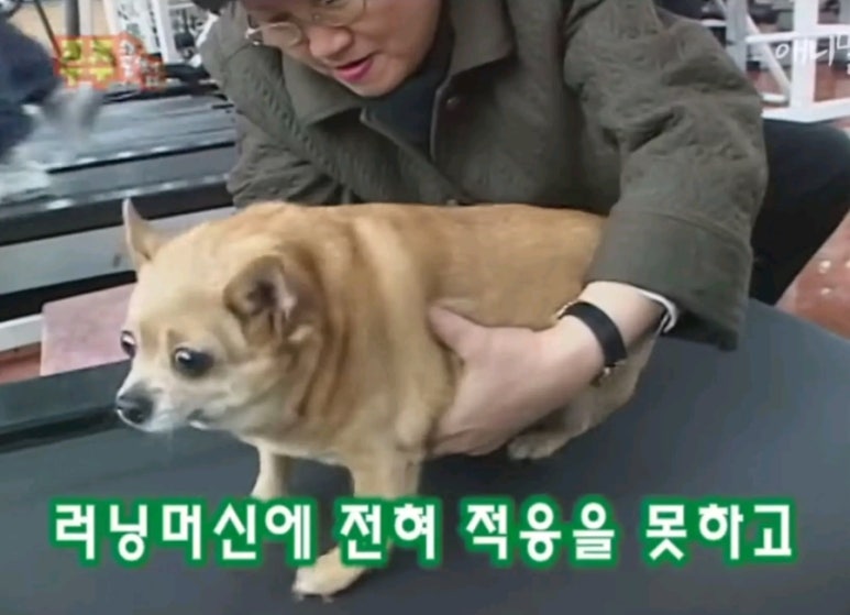 안녕하세요 이미지