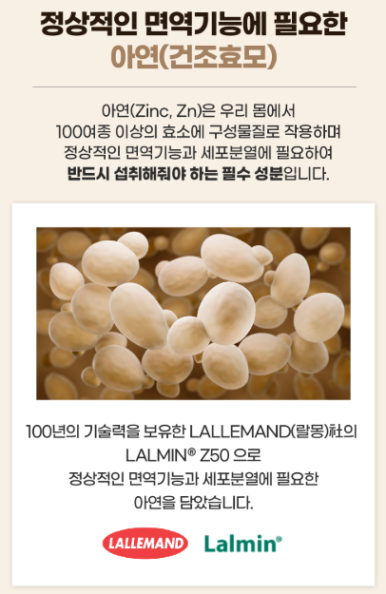 푸드맥스 이미지