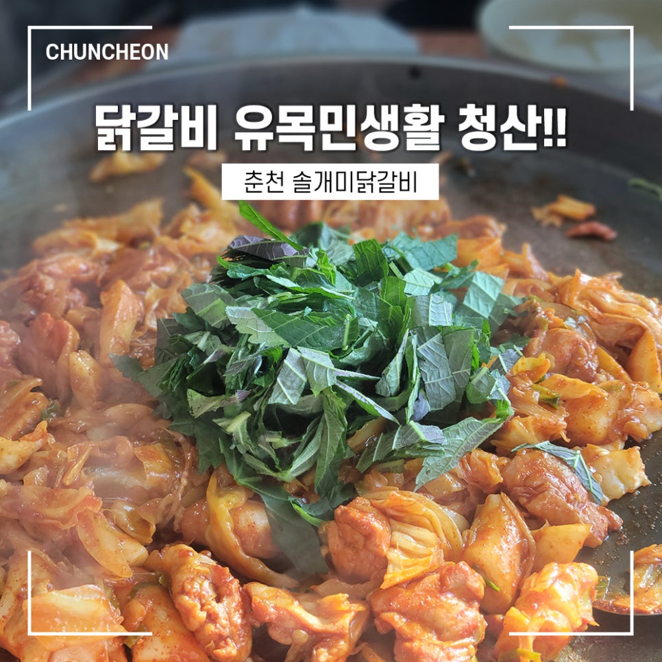 솔개미닭갈비 이미지