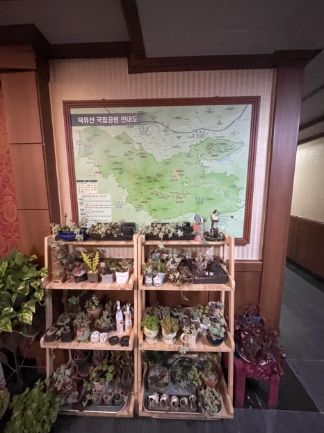 다숲스키샵 이미지