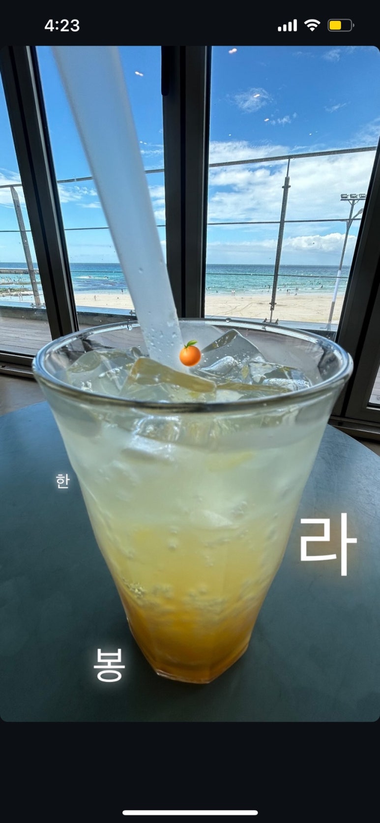 왓두유 이미지