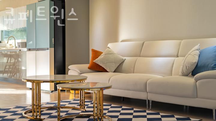 트윈스펜션 이미지