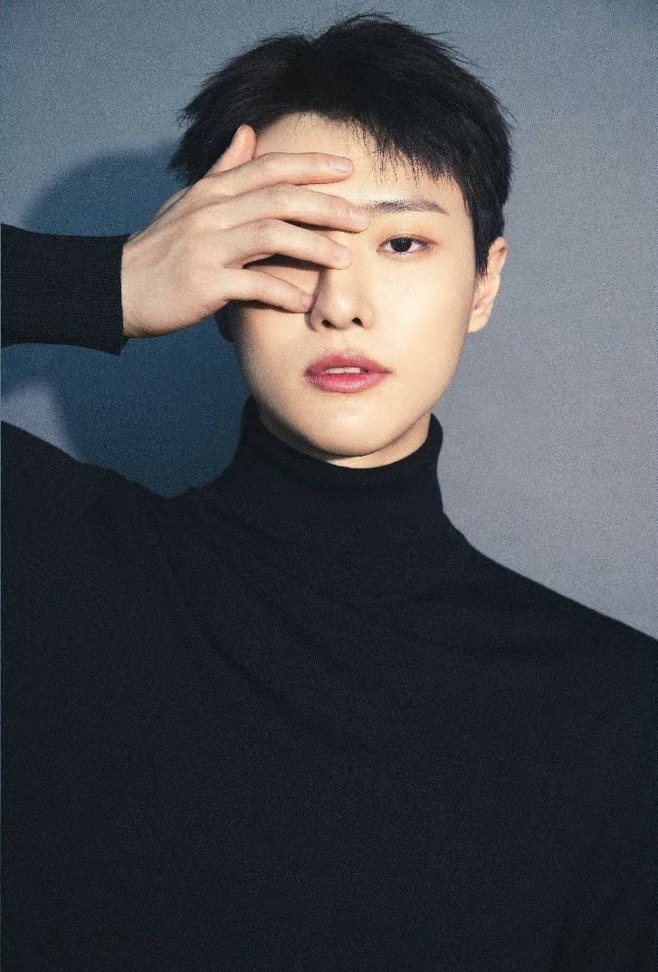 베이비베어 이미지