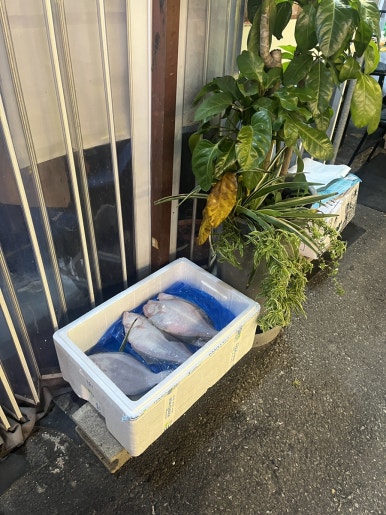 후암쭈꾸미 이미지