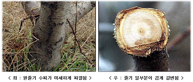 동해기술 이미지