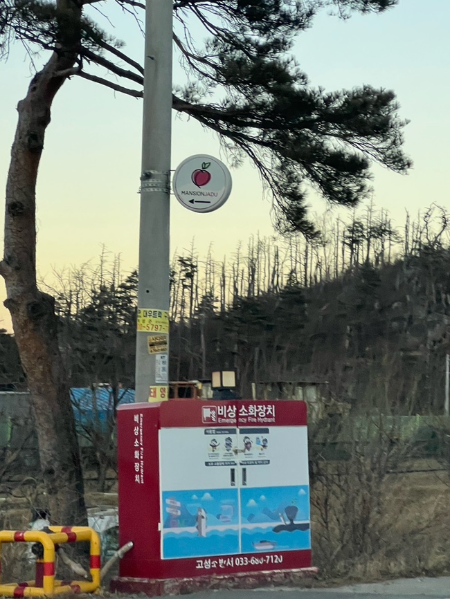 맨션자두 이미지