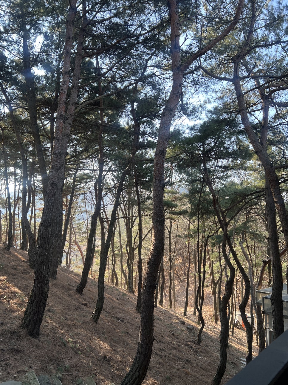청우힐링 이미지