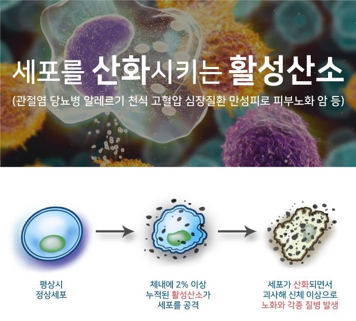 희룸 이미지