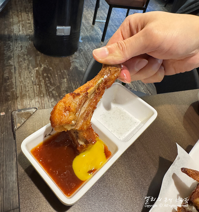 호팬치키니 이미지