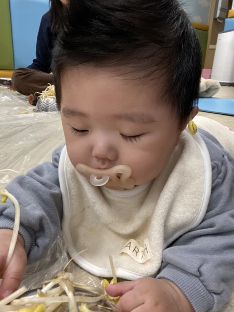 건반위에콩나물 이미지