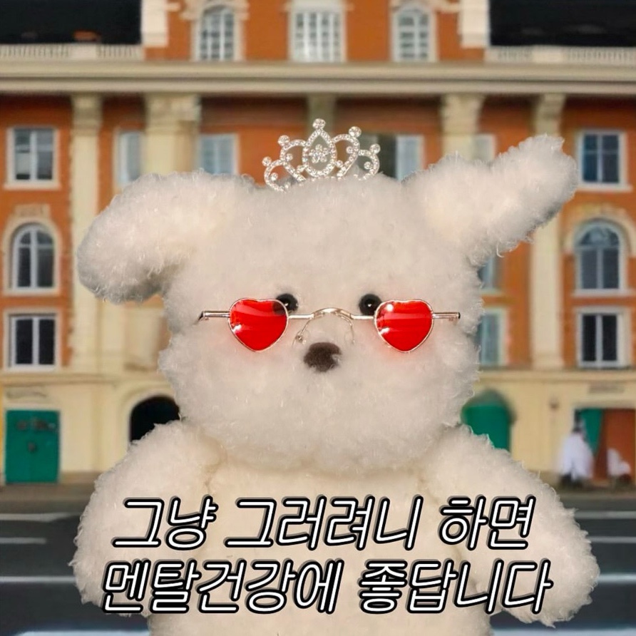 오징어데이 이미지