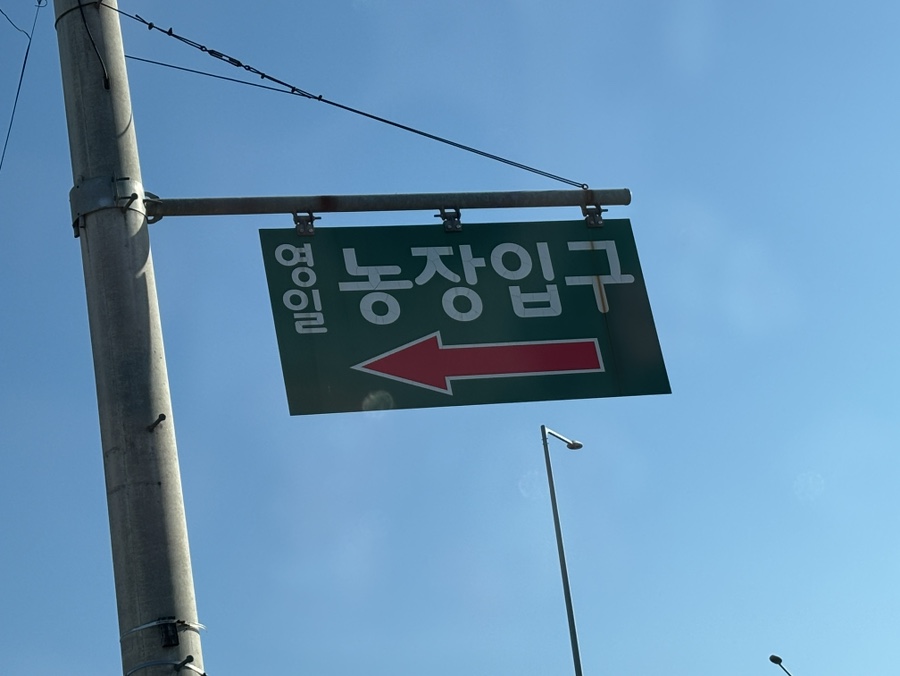 영일농장 이미지