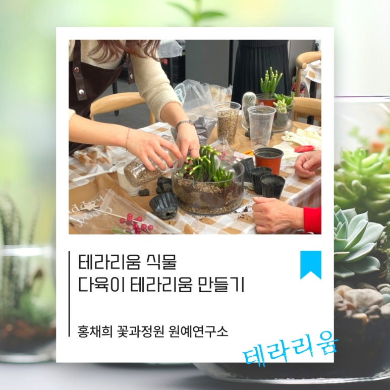 테라리움연구소 이미지
